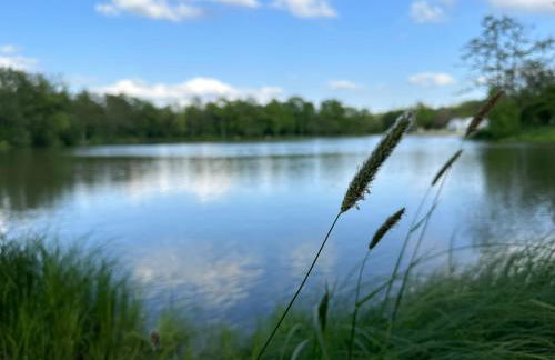 Frankenwald Ferienhaus FourStars am See in Lichtenberg, Bayern, Oberfranken, Bad Steben - Hof -Saale, Rennsteig - Foto 41