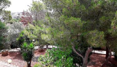 VILLA MIRABELLE , Torresangiovanni Marina di Ugento (LE) - Foto 5, Garden view