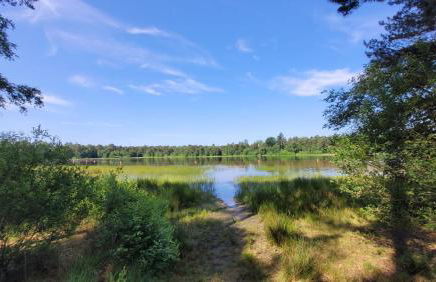 Schöner Winkel - Foto 39