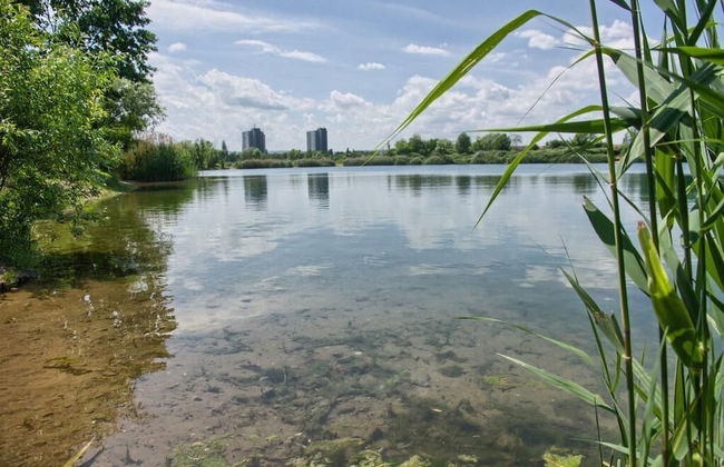 Dresdner-Tag Rosenherz - Foto 28