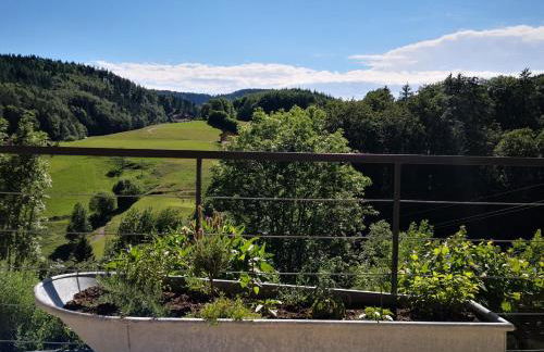 Ferienwohnung Belchenliebe - Foto 18