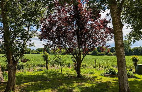 New traditional village house - Foto 26