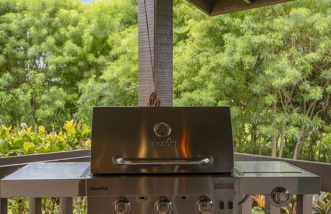 Kaanapali Plantation by Coldwell Banker Island Vacations - Foto 60