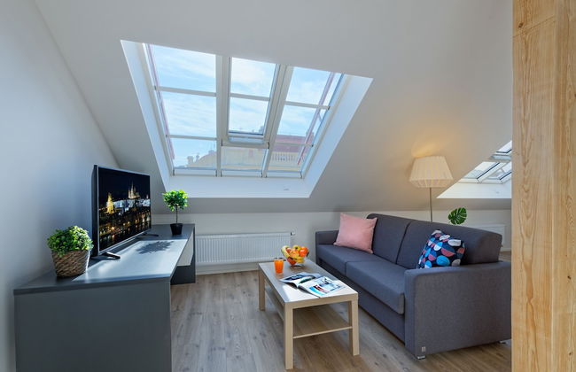 DownTown Suites Jugoslavska - Photo 32