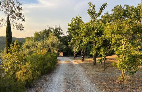 Casale Delle Querce farmhouse in Giove Umbria with pool - Foto 7