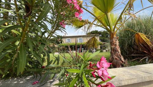 Mas Provençale entre Avignon et St Remy de Provence - Foto 4