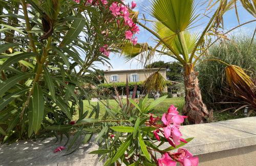 Mas Provençale entre Avignon et St Remy de Provence - Foto 4