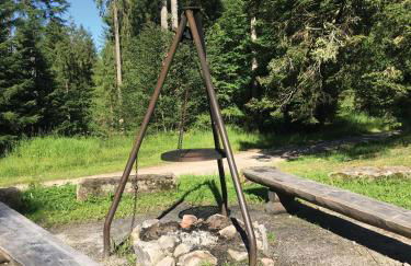 Fewo Nationalpark Schwarzwald - Foto 29