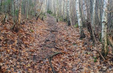 Opawski Zakątek 43 - Foto 68