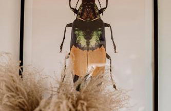 Prawdziwe Morze - Foto 21