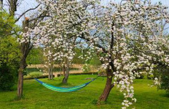 Dom nad jeziorem Granicznym - Foto 12