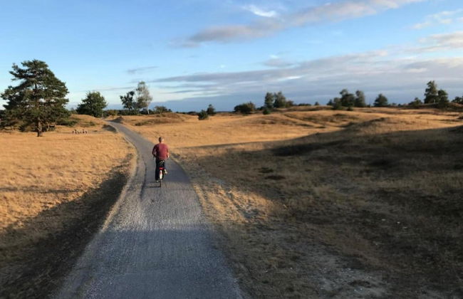 Tranquil Retreat in Appelscha - Foto 32