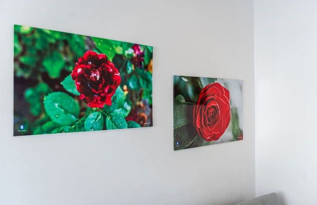 Seaview Haven - Trendafili - Photo 3