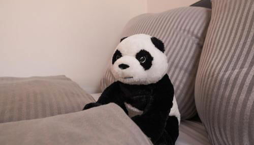FullHouse - Halle - T28 - Panda Apartment - Foto 4