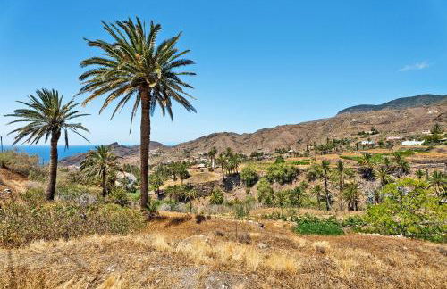 Rosa del Negro - Foto 2