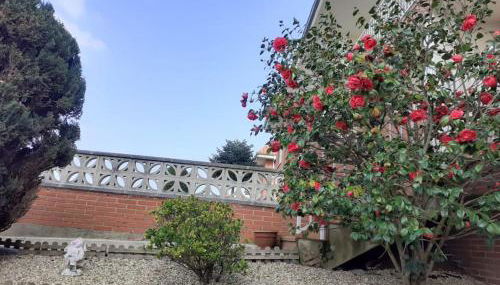 Casa Rotella - Foto 4, Garden