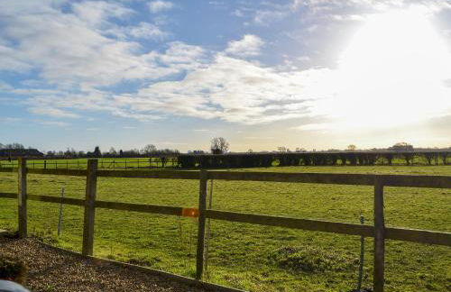 Ivy Grange Cottage - Foto 6