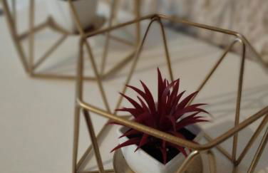 Gigò Home - Foto 15