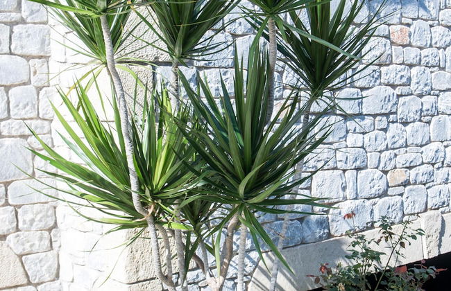 Manoleas Villas - Apartment 4 - Foto 49