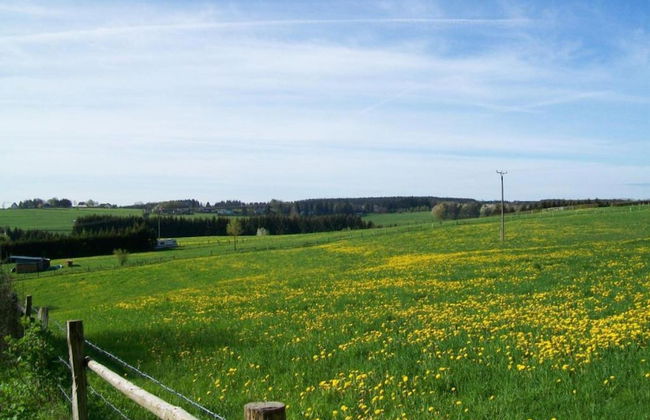 Hellenthal Family Retreat - Photo 33