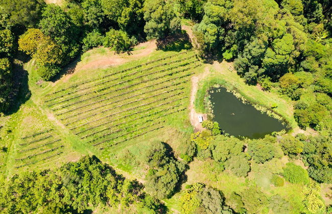 Clothiers Creek Farm - Photo 23