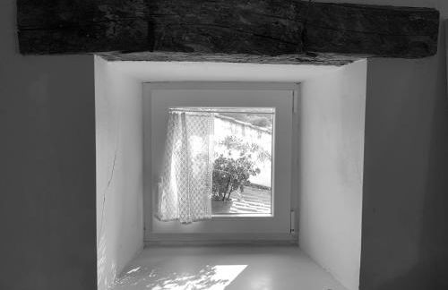 La Grulla Dorada - Foto 23