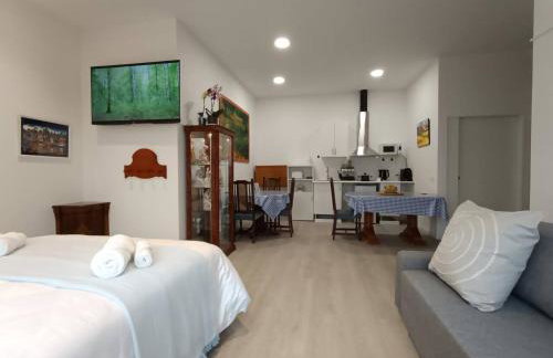 Apart Onak 4 - 1cama y sofa cama - parking gratis - Foto 1