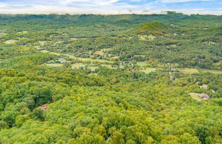 Red Wolf by Carolina Mornings - Foto 35