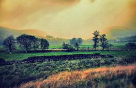 Corlae Cottage, mountain and forest views - Foto 8