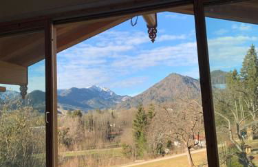 Chalet BERGSUCHT in Ruhpolding Bayern, Traumlage am sonnigen Südhang, kostenlose Parkplätze, schnelles WLAN, ruhige Sackgasse, NETFLIX inklusive - Foto 24