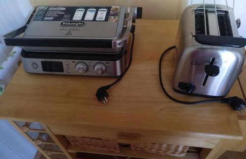 Kakteengarten - Foto 23