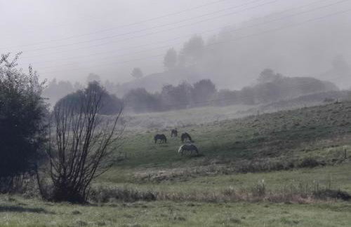 Jastrzębie Gniazdko - Foto 54