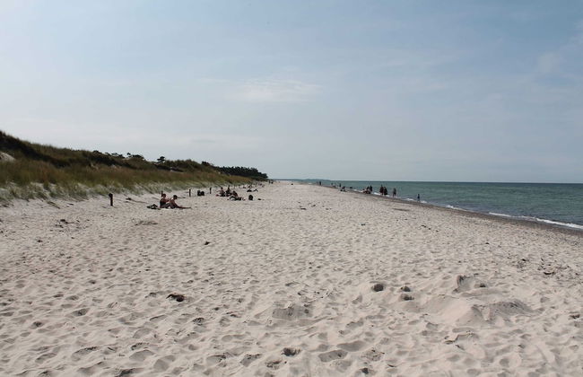Geraumige Wohnung mit Garten in Zingst - Foto 22