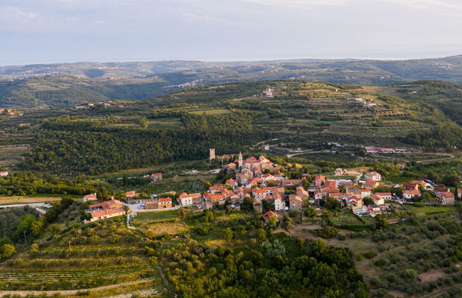 Studio Gallery Bura - Foto 49