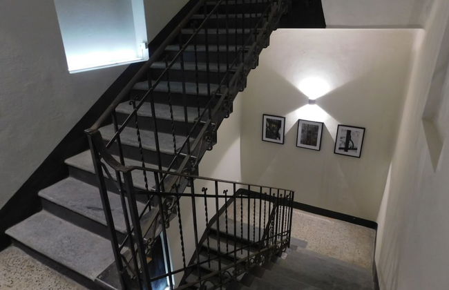 Piumaviola - Foto 63