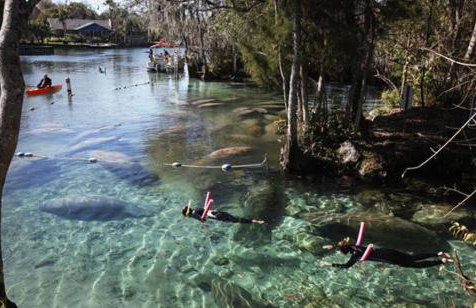 Cozy Home In Beverly Hills near Crystal River - Foto 16