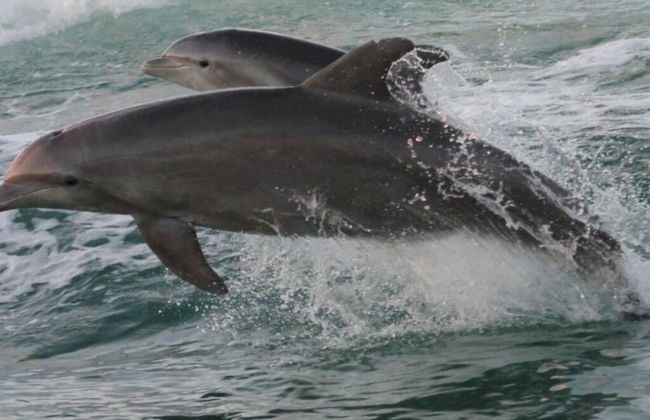 2 Bedroom Waterfront Pool Side! - Foto 37