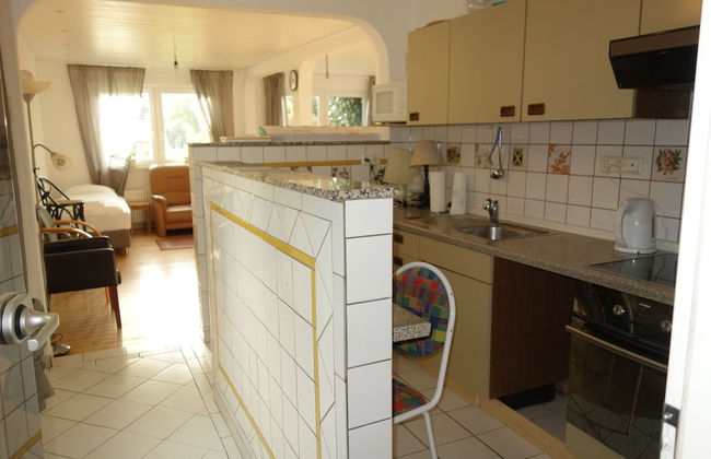 Tolstov-Hotels Large 3 Room Apartment with Garden - Foto 31