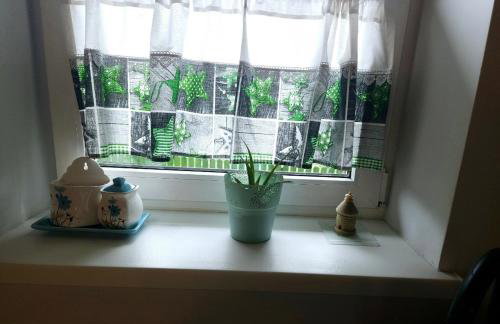 Alpakowy raj - Foto 75