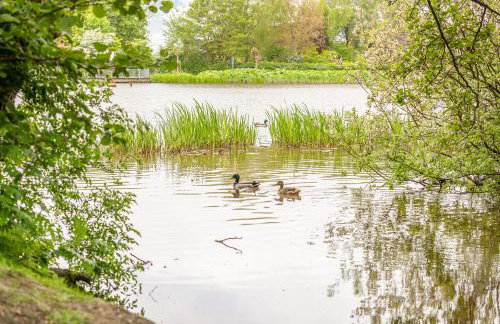 Alte Wassermühle Hollebek - Foto 24