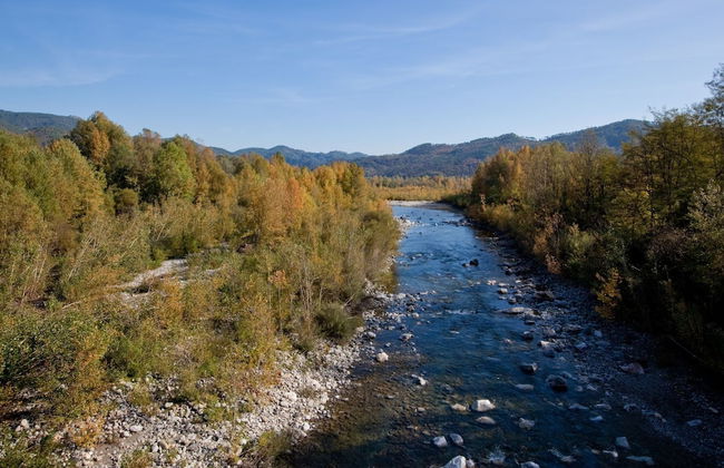 Peaceful Countryside Retreat - Foto 30