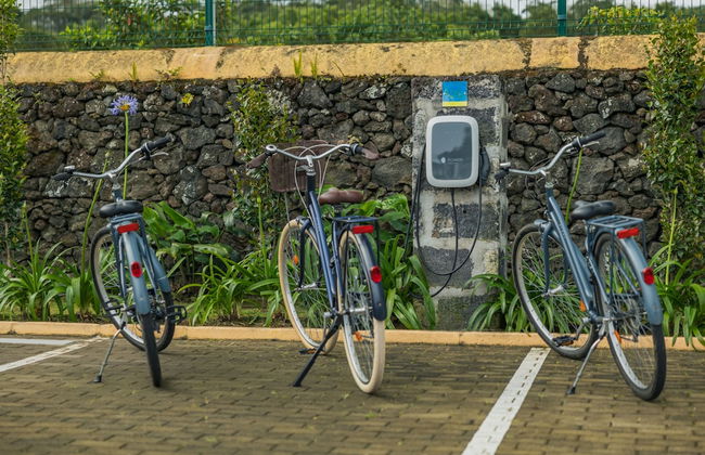 Parrots Village - Foto 47