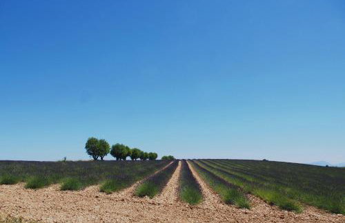 Une Heure Bleue - Foto 16