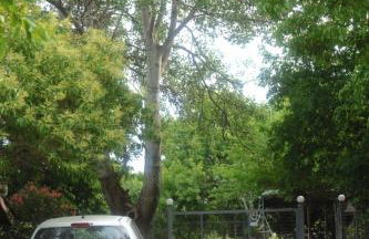 Zoe By The Sea - Foto 28