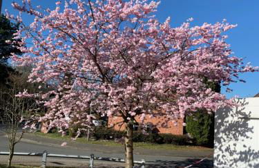 Holiday in der Lüneburger Heide - Foto 21