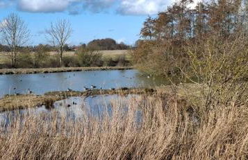 Ferienhaus Herter - Foto 31