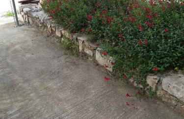 Politimis house - Foto 28