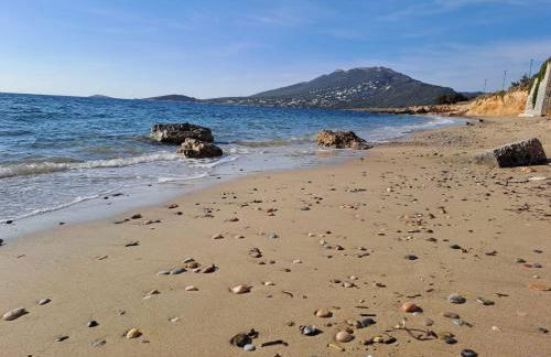 Urbi Garden - Foto 13