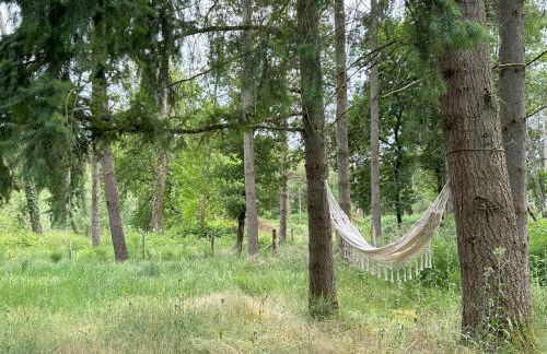 Le refuge de Chambord - Photo 24