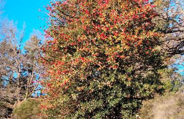 Gite le grenier du roc - Foto 12